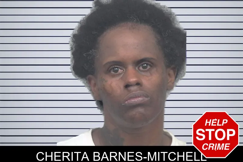 Cherita Barnes-Mitchell mugshot – Gwinnett County , Georgia Cherita Barnes-Mitchell mugshot