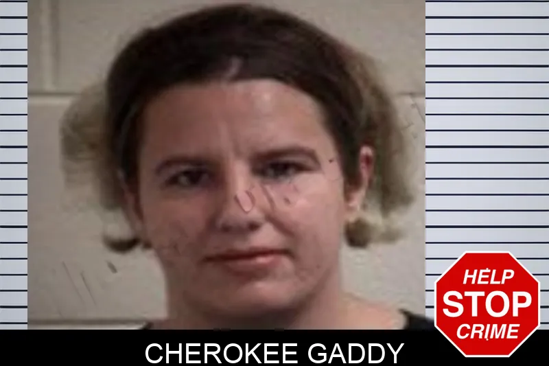 Cherokee Gaddy mugshot – Henry County , Georgia Cherokee Gaddy mugshot