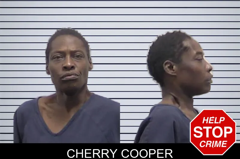 Cherry Cooper mugshot – Clarke County , Georgia Cherry Cooper mugshot