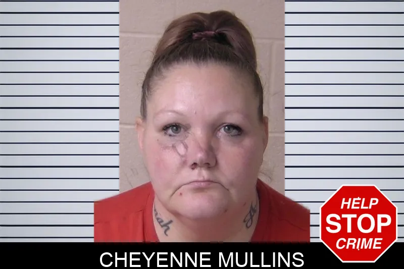 Cheyenne Mullins mugshot