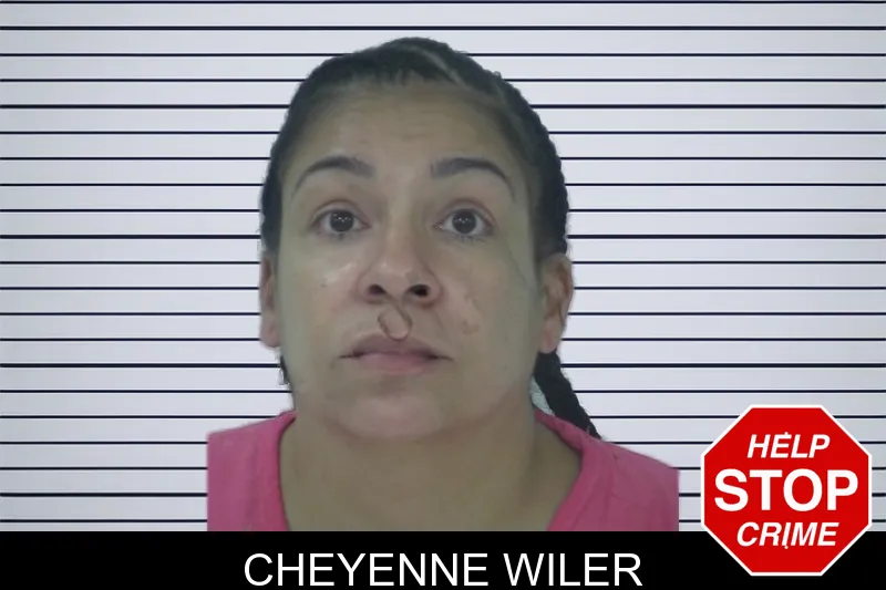 Cheyenne Wiler mugshot – Fayette County , Georgia Cheyenne Wiler mugshot