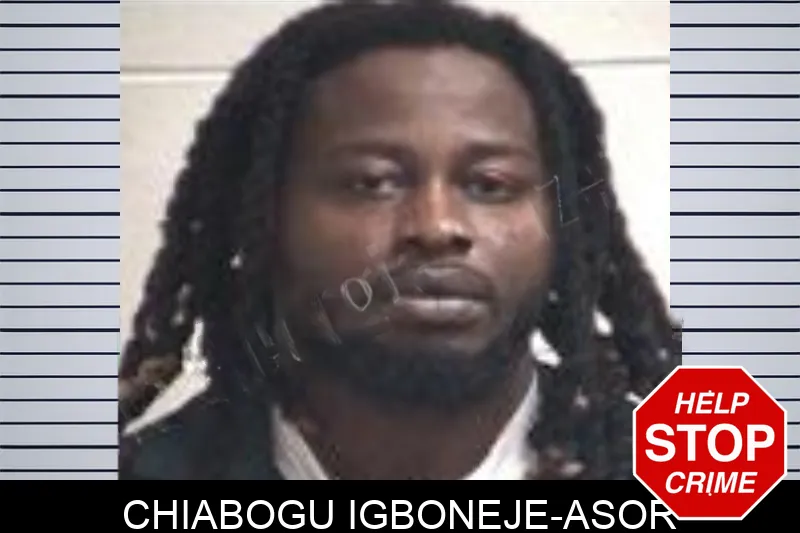 Chiabogu Igboneje-Asor mugshot