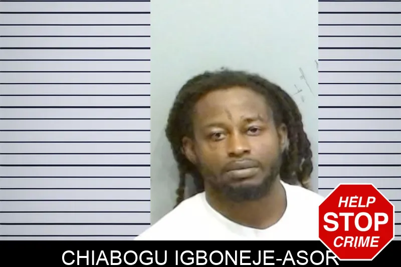 Chiabogu Igboneje-Asor mugshot – Fulton County , Georgia Chiabogu Igboneje-Asor mugshot
