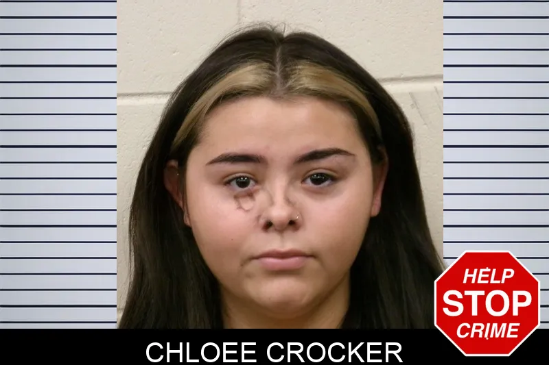 Chloee Crocker mugshot – Bulloch County , Georgia Chloee Crocker mugshot