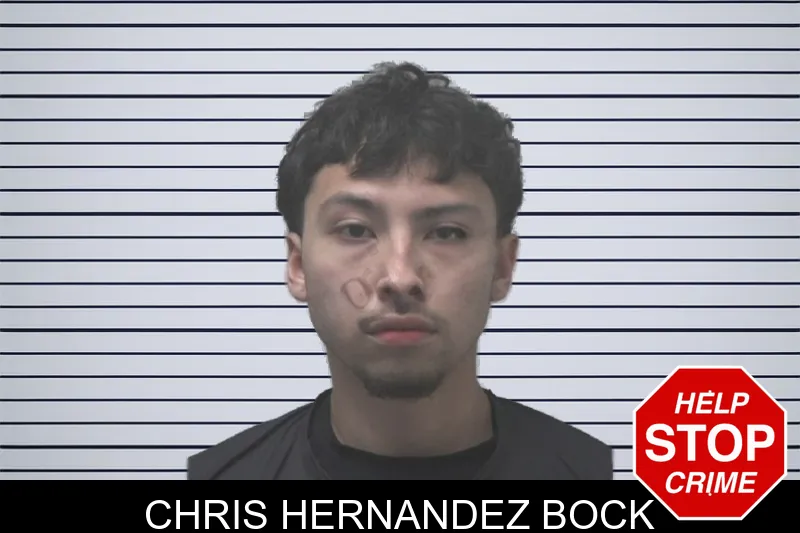 Chris Hernandez Bock mugshot – Coweta County , Georgia Chris Hernandez Bock mugshot