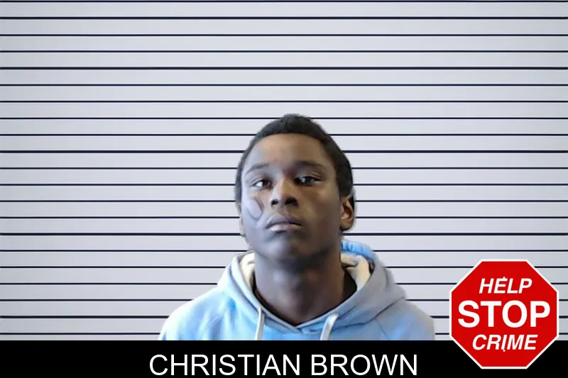 Christian Brown mugshot