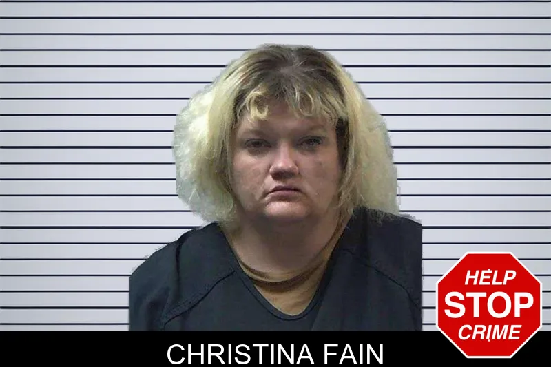 Christina Fain mugshot – Gilmer County , Georgia Christina Fain mugshot