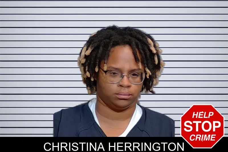 Christina Herrington mugshot – Glynn County , Georgia Christina Herrington mugshot