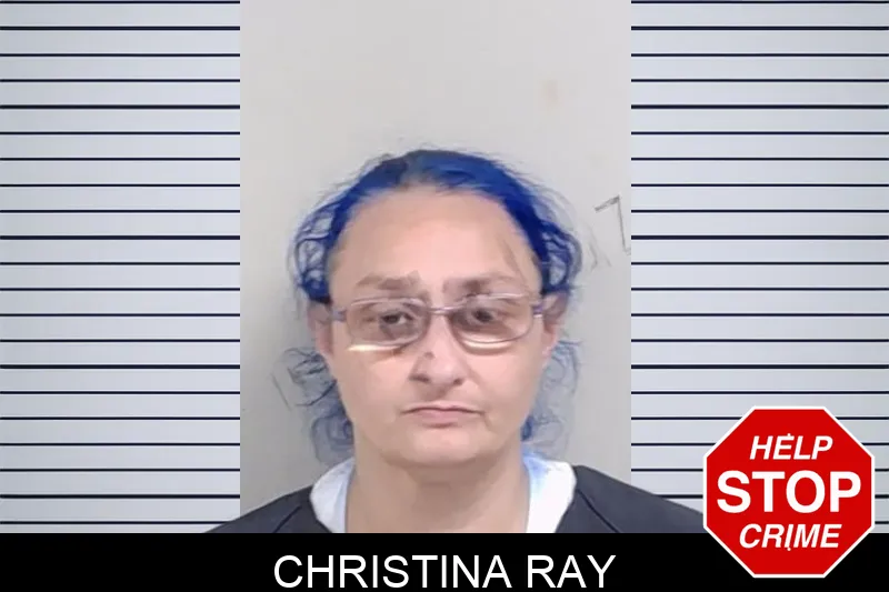 Christina Ray mugshot – Lowndes County , Georgia Christina Ray mugshot