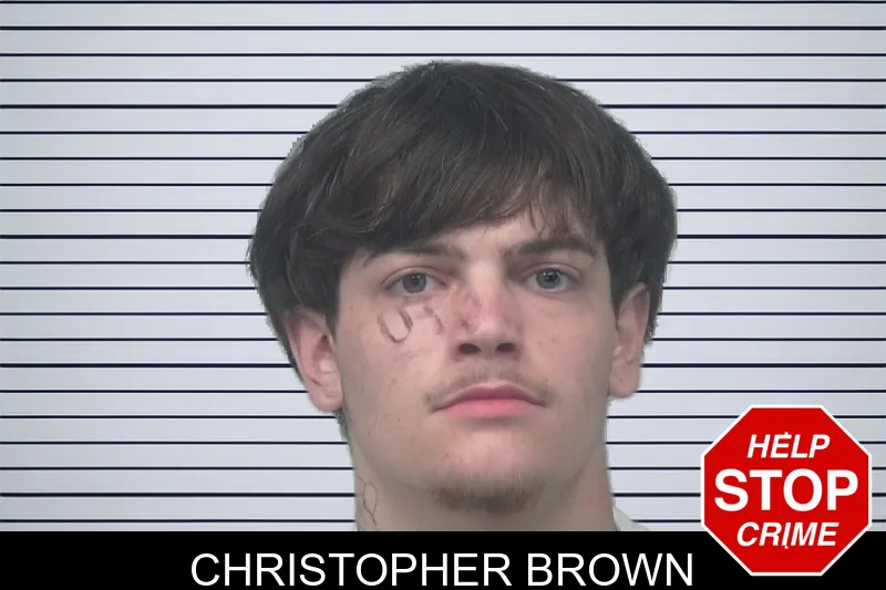 Christopher Brown mugshot – Gwinnett County , Georgia Christopher Brown mugshot