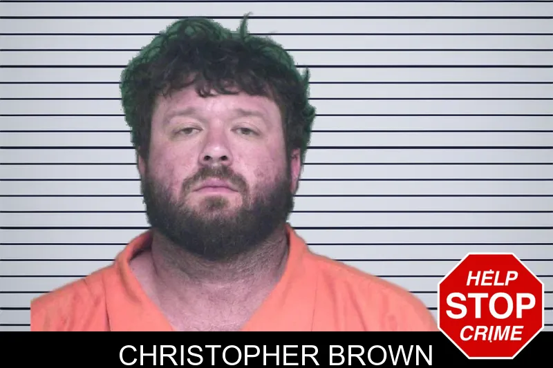 Christopher Brown mugshot