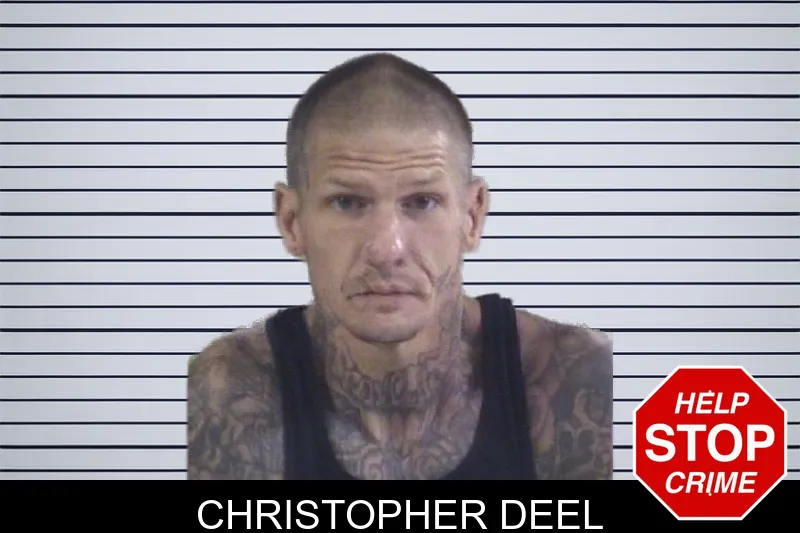 Christopher Deel mugshot – Whitfield County , Georgia Christopher Deel mugshot