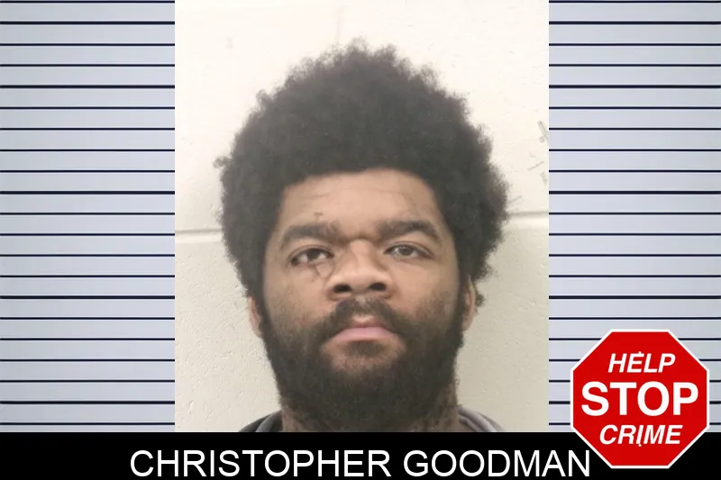 Christopher Goodman mugshot – Bulloch County , Georgia Christopher Goodman mugshot