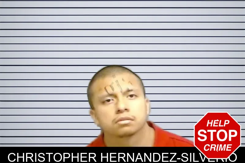 Christopher Hernandez-Silverio mugshot – Fulton County , Georgia Christopher Hernandez-Silverio mugshot