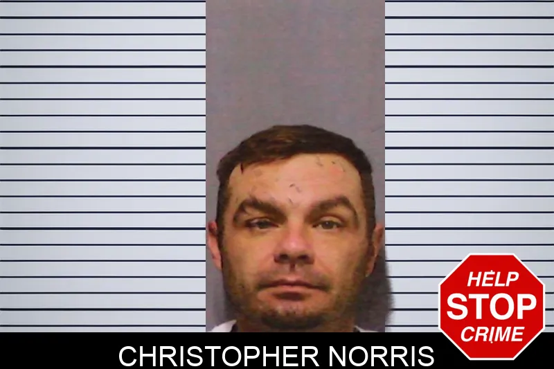 Christopher Norris mugshot – White County , Georgia Christopher Norris mugshot