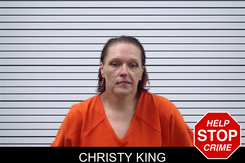Christy King mugshot – Pickens County , Georgia Christy King mugshot