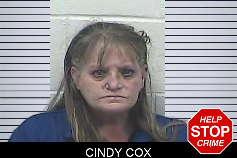 Cindy Cox mugshot – Dawson County , Georgia Cindy Cox mugshot