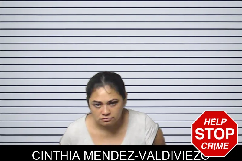 Cinthia Mendez-Valdiviezo mugshot – DeKalb County , Georgia Cinthia Mendez-Valdiviezo mugshot