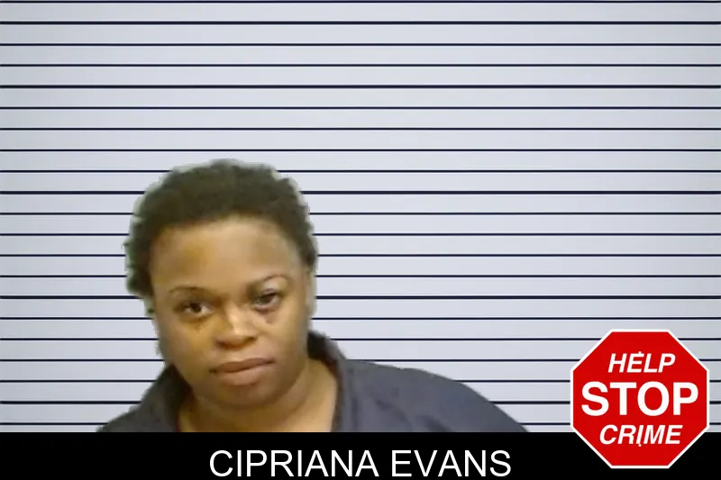 Cipriana Evans mugshot – Fulton County , Georgia Cipriana Evans mugshot
