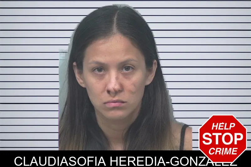Claudiasofia Heredia-Gonzalez mugshot – Gwinnett County , Georgia Claudiasofia Heredia-Gonzalez mugshot