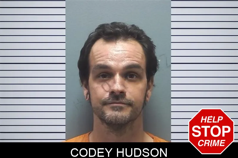 Codey Hudson mugshot