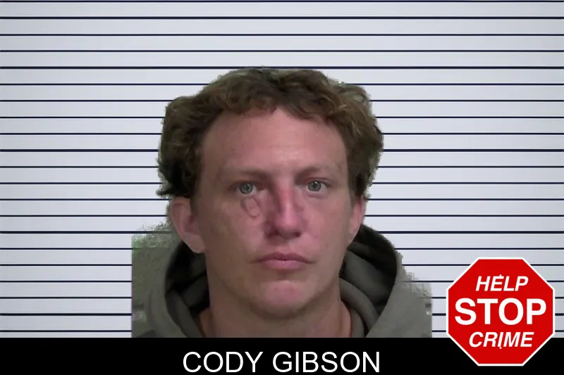 Cody Gibson mugshot