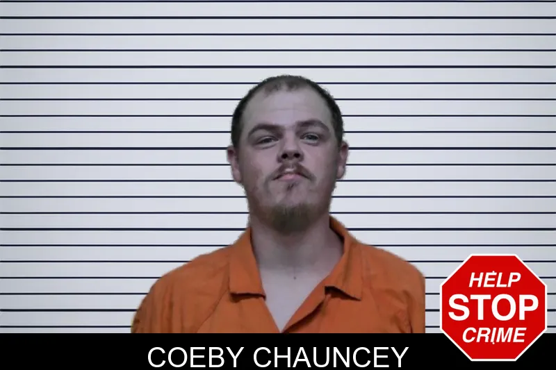 Coeby Chauncey mugshot – Ben Hill County , Georgia Coeby Chauncey mugshot
