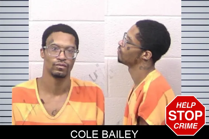 Cole Bailey mugshot – Paulding County , Georgia Cole Bailey mugshot