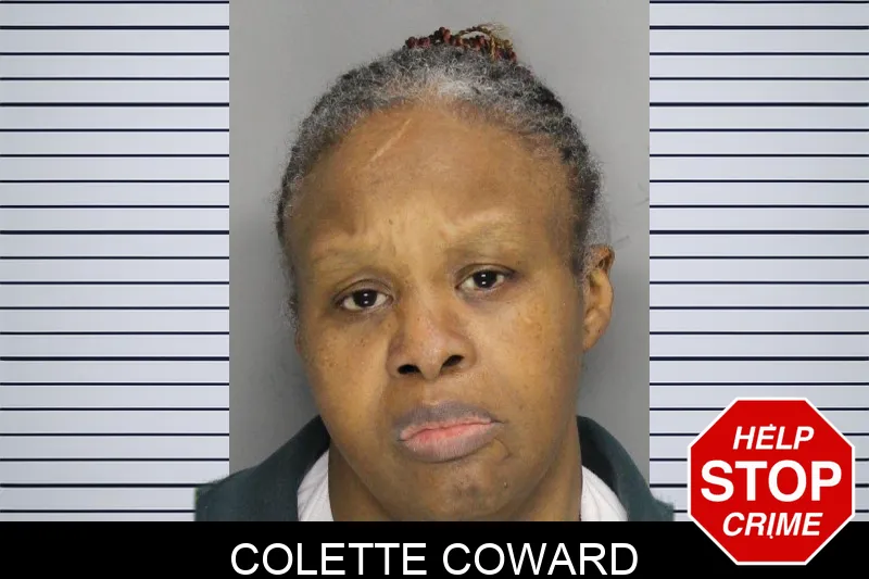 Colette Coward mugshot – Cobb County , Georgia Colette Coward mugshot