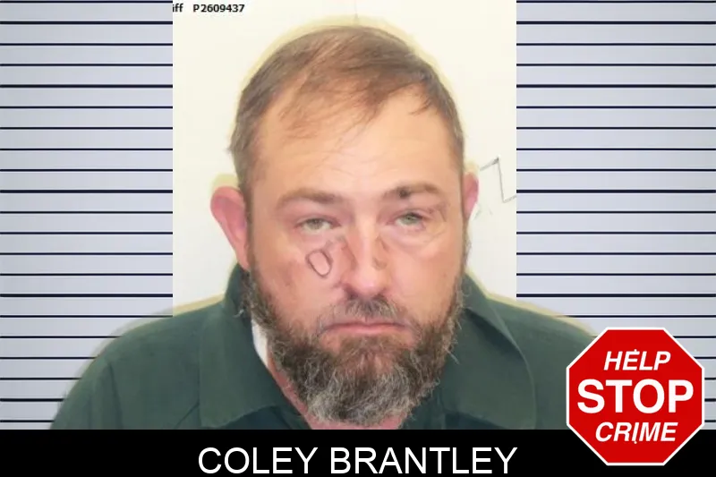 Coley Brantley mugshot