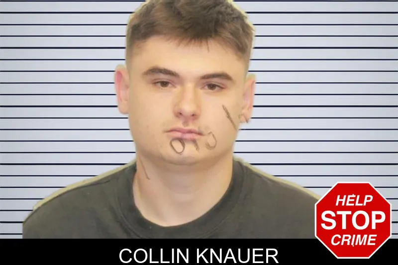 Collin Knauer mugshot – Chatham County , Georgia Collin Knauer mugshot