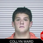 Collyn Ward mugshot