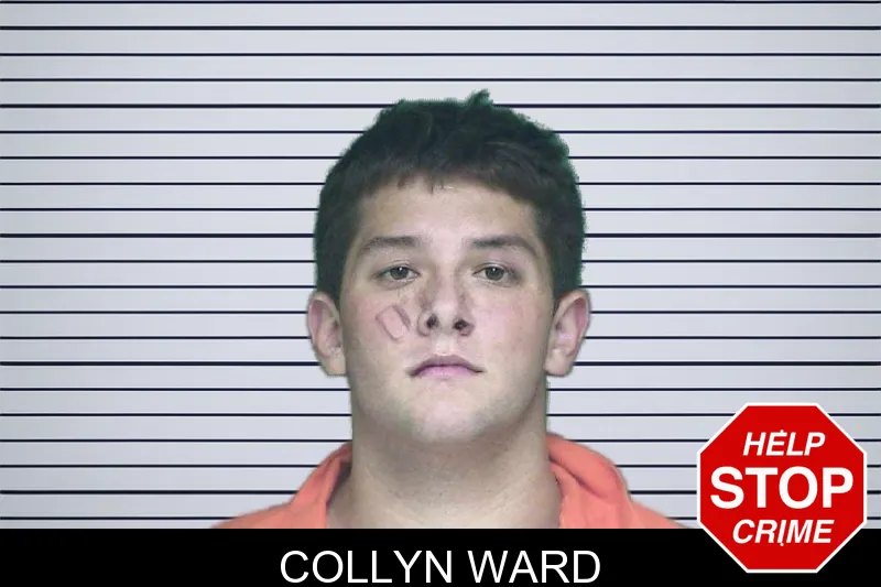 Collyn Ward mugshot