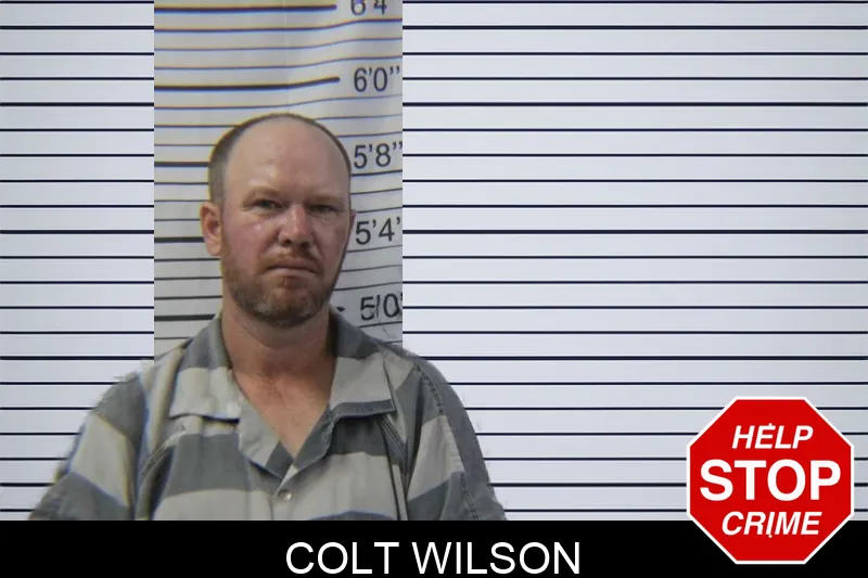 Colt Wilson mugshot – Stephens County , Georgia Colt Wilson mugshot