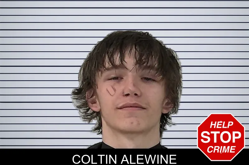 Coltin Alewine mugshot