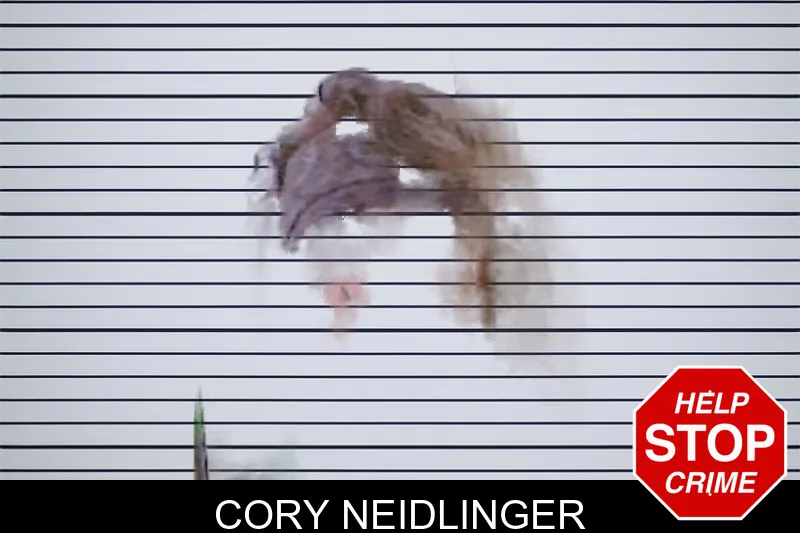 Cory Neidlinger mugshot