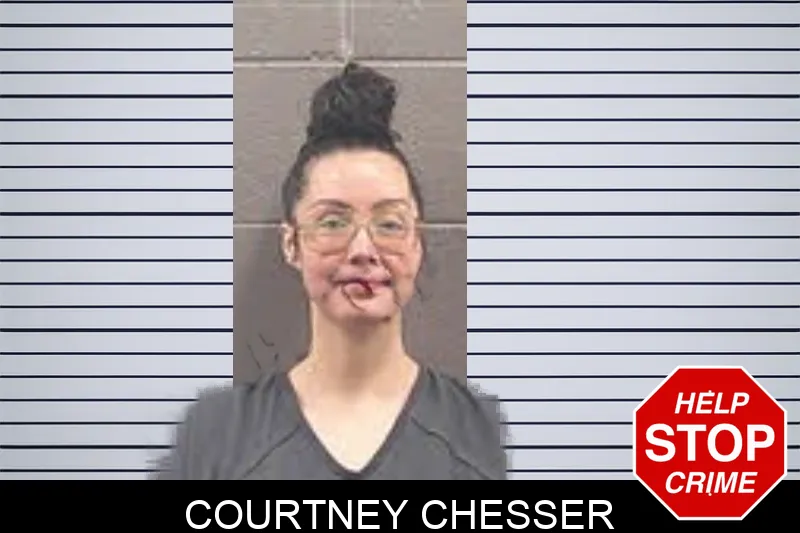 Courtney Chesser mugshot – Banks County , Georgia Courtney Chesser mugshot