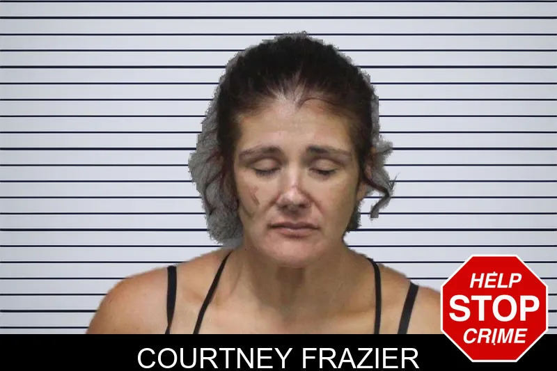 Courtney Frazier mugshot – White County , Georgia Courtney Frazier mugshot