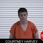 Courtney Harvey mugshot – Fannin County , Georgia Courtney Harvey mugshot