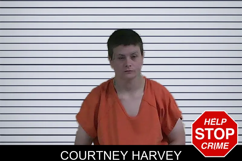 Courtney Harvey mugshot