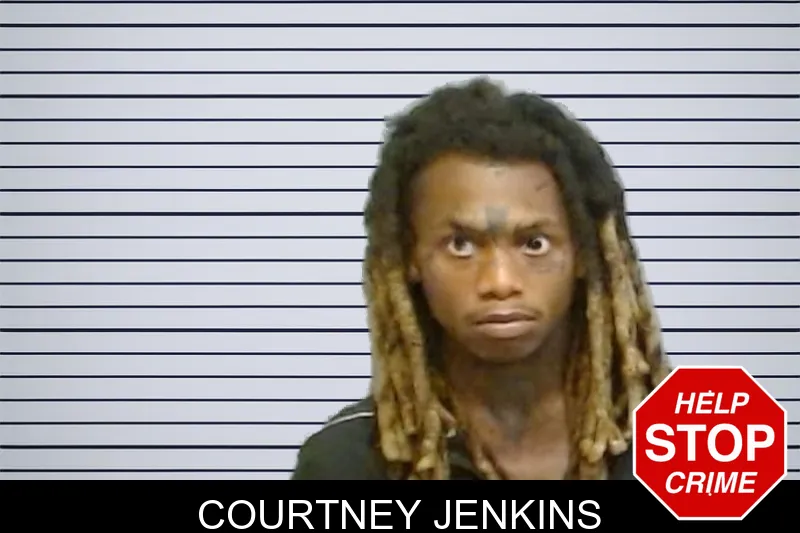Courtney Jenkins mugshot – Fulton County , Georgia Courtney Jenkins mugshot