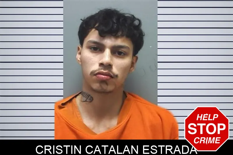 Cristin Catalan Estrada mugshot – Cherokee County , Georgia Cristin Catalan Estrada mugshot