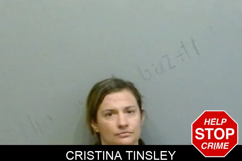 Cristina Tinsley mugshot – Fulton County , Georgia Cristina Tinsley mugshot