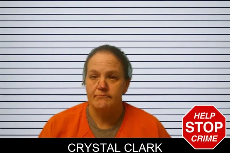 Crystal Clark mugshot – Franklin County , Georgia Crystal Clark