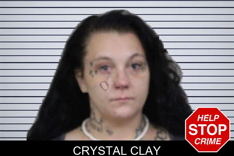 Crystal Clay mugshot – Lamar County , Georgia Crystal Clay mugshot