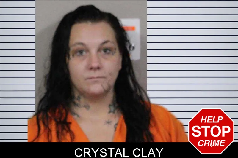 Crystal Clay mugshot – Lamar County , Georgia Crystal Clay mugshot
