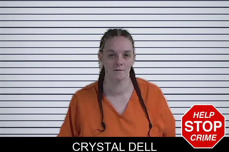 Crystal Dell mugshot – Fannin County , Georgia Crystal Dell mugshot