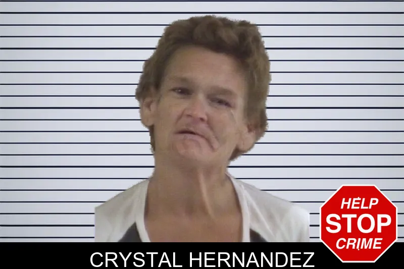 Crystal Hernandez mugshot