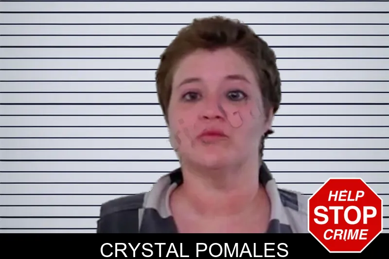 Crystal Pomales mugshot
