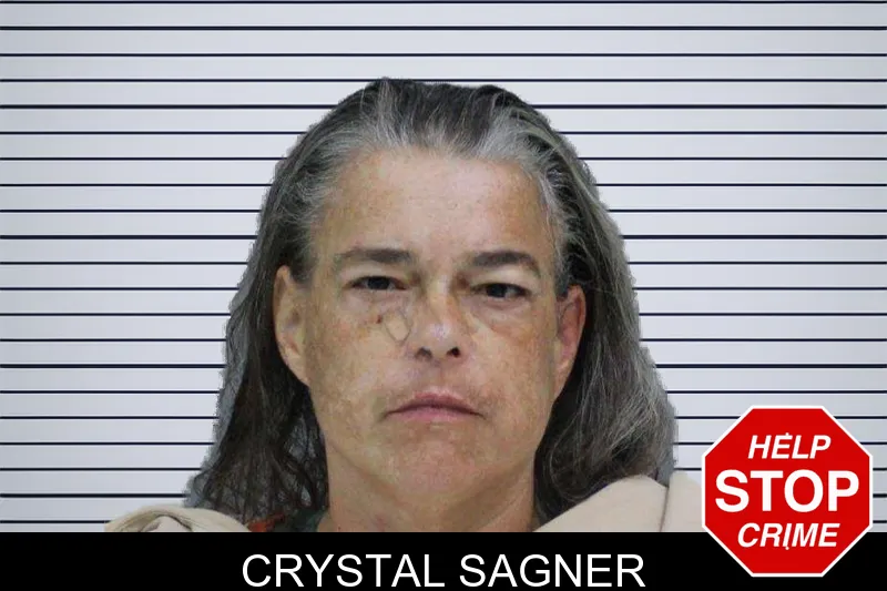 Crystal Sagner mugshot – Rabun County , Georgia Crystal Sagner mugshot